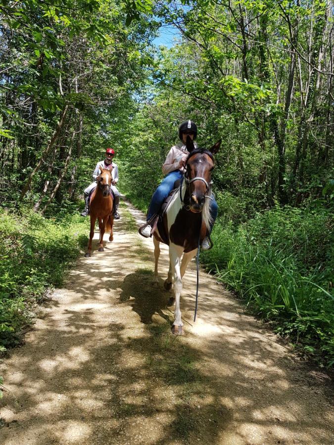 Capdrot Gite Equestre Domaine Des Crins - Monpazier מראה חיצוני תמונה