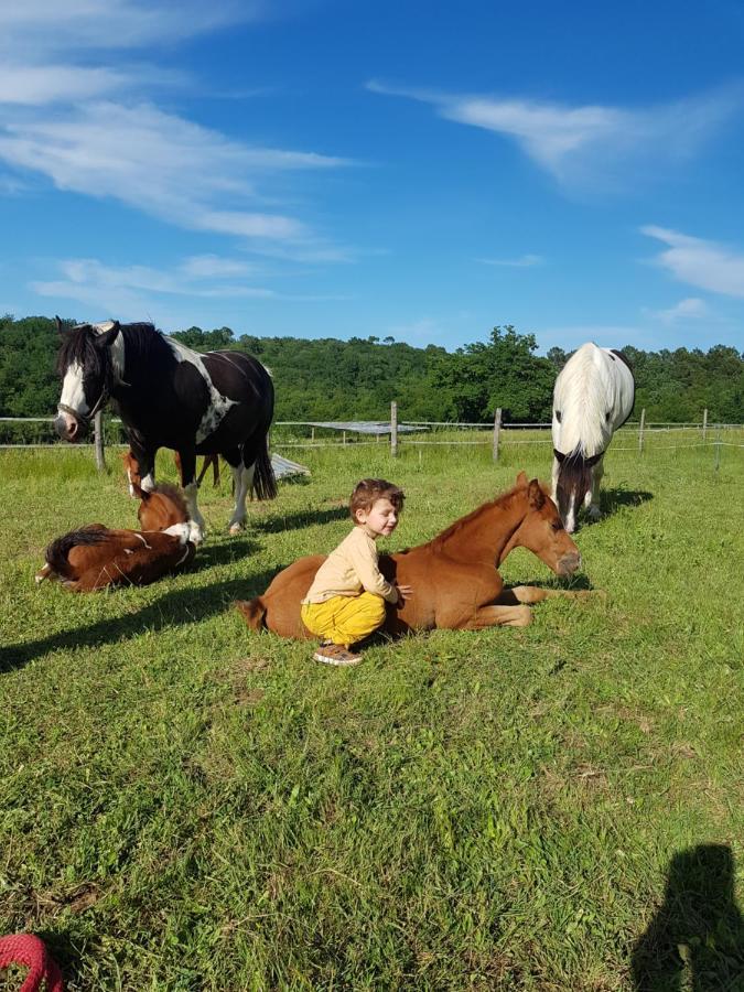 Capdrot Gite Equestre Domaine Des Crins - Monpazier מראה חיצוני תמונה
