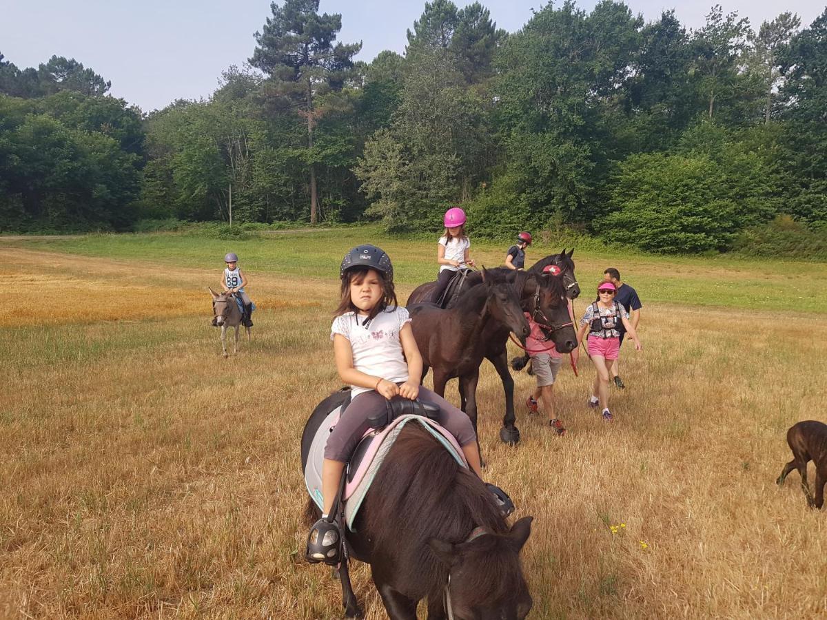 Capdrot Gite Equestre Domaine Des Crins - Monpazier מראה חיצוני תמונה
