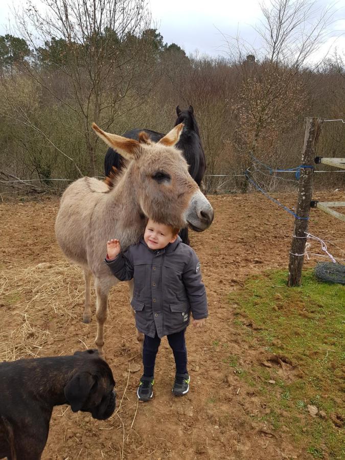 Capdrot Gite Equestre Domaine Des Crins - Monpazier מראה חיצוני תמונה