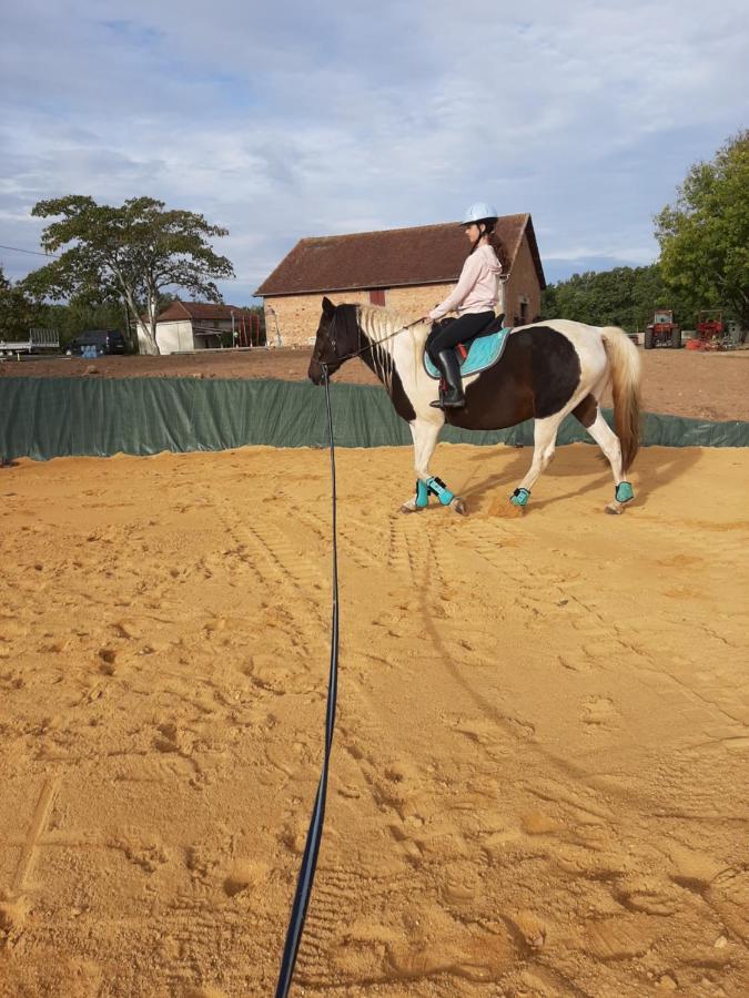 Capdrot Gite Equestre Domaine Des Crins - Monpazier מראה חיצוני תמונה