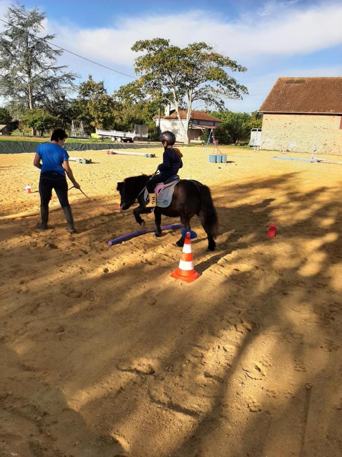 Capdrot Gite Equestre Domaine Des Crins - Monpazier מראה חיצוני תמונה