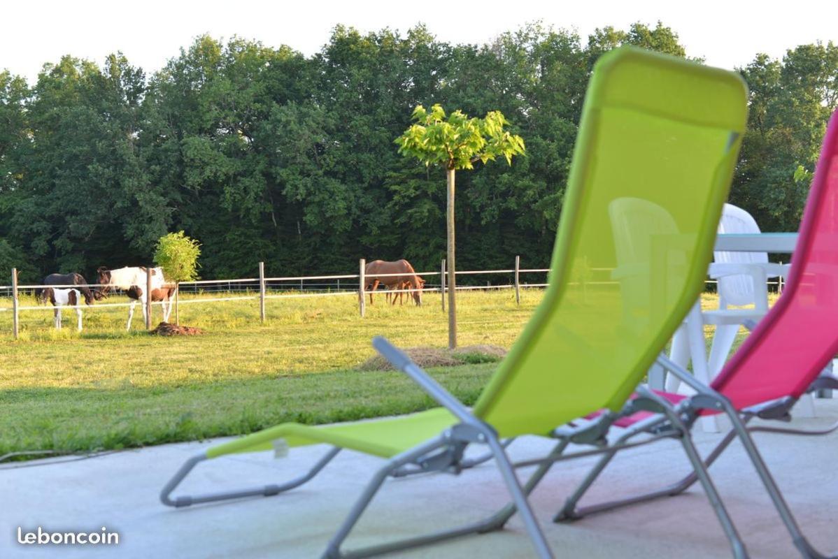 Capdrot Gite Equestre Domaine Des Crins - Monpazier מראה חיצוני תמונה